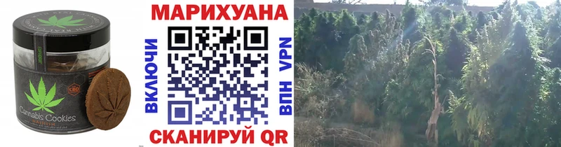 Еда ТГК марихуана  darknet формула  Бабушкин  даркнет сайт 