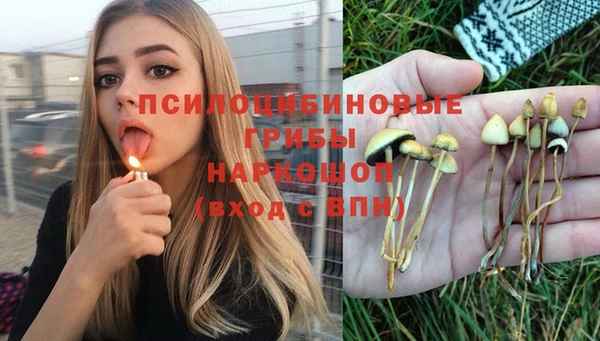 амф Алексин