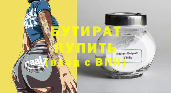 индика Новозыбков