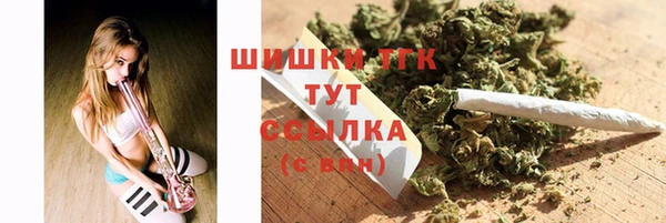 амф Алексин