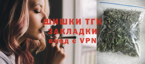 индика Новозыбков