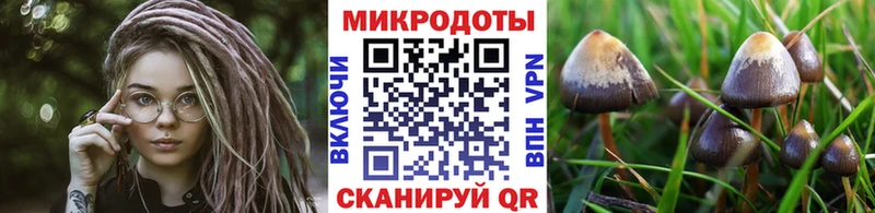 Галлюциногенные грибы мухоморы  KRAKEN tor  Бабушкин 